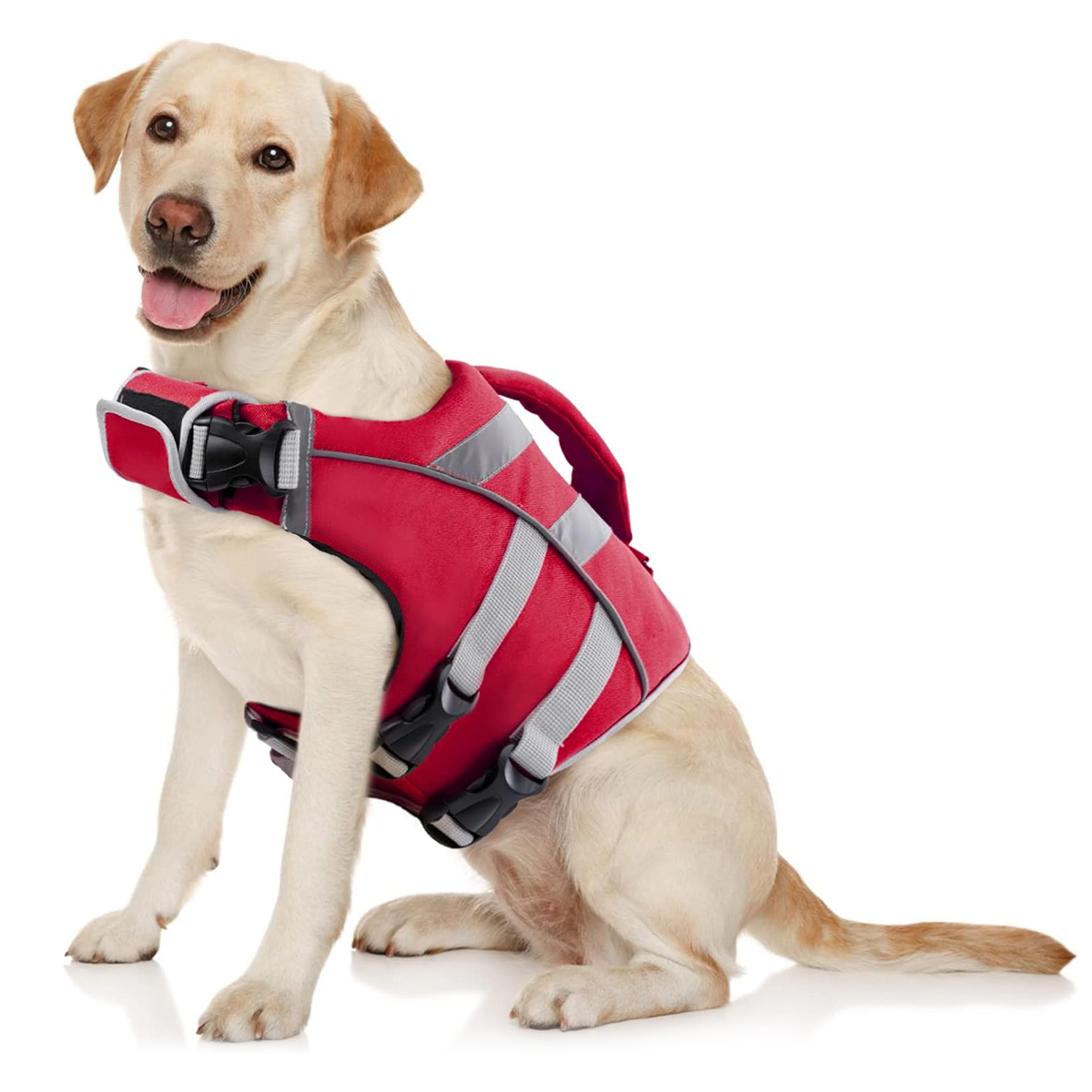 Dog Life Jacket - Garanta as aventuras aquáticas do seu