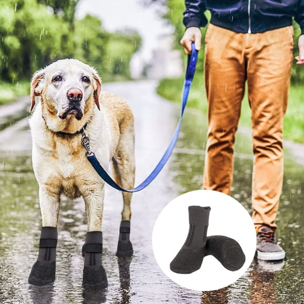4 pçs suprimentos para animais - Pet Supplies Nz avaliação e preço