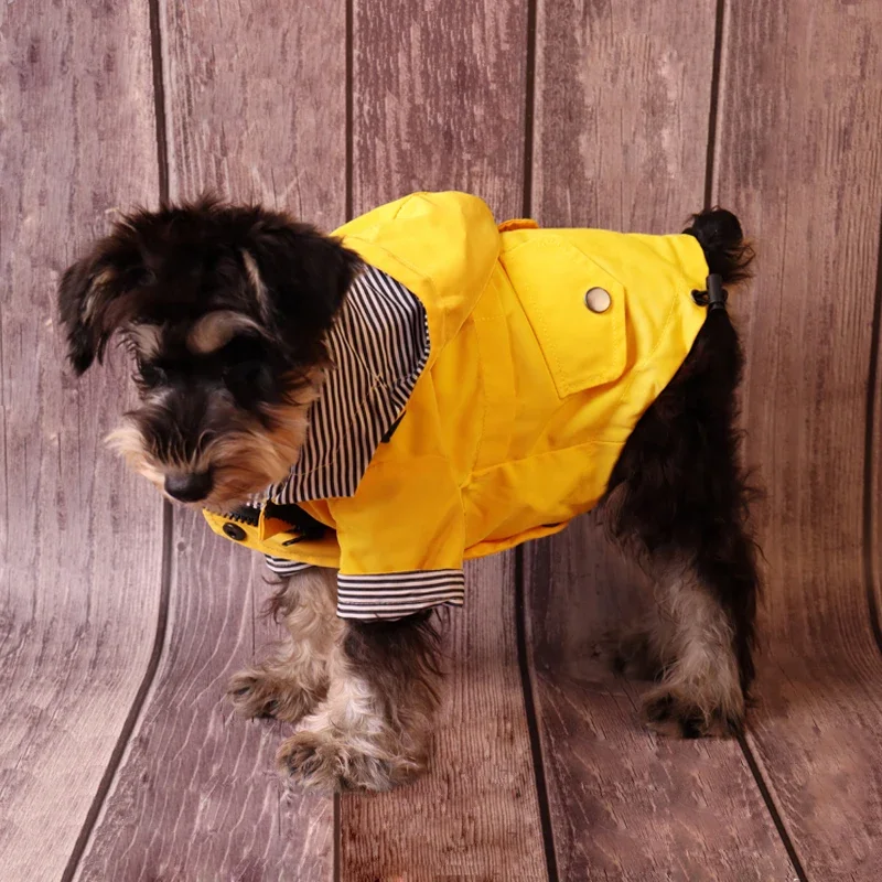 Grande cão roupas impermeáveis - Dog Raincoat avaliação e preço