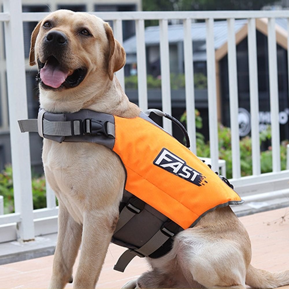 Colete salva-vidas ajustável p - Dog Life Jacket avaliação e preço