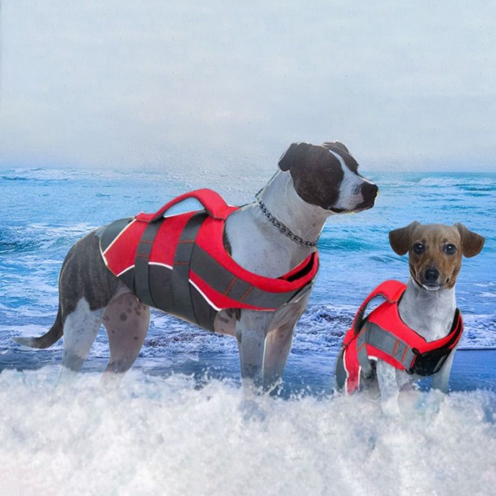 Colete salva-vidas reflexivo p - Dog Life Jacket avaliação e preço