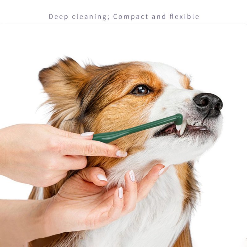 Micro cabeça cão gato escova d - Pet Supplies Nz avaliação e preço