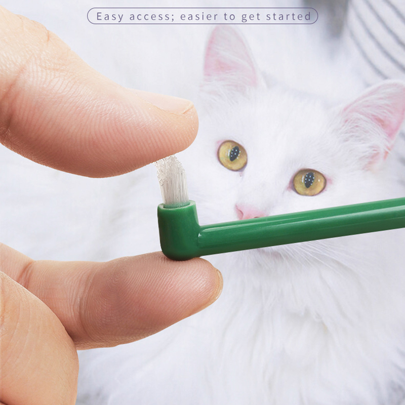 Micro cabeça cão gato escova d - Pet Supplies Nz avaliação e preço