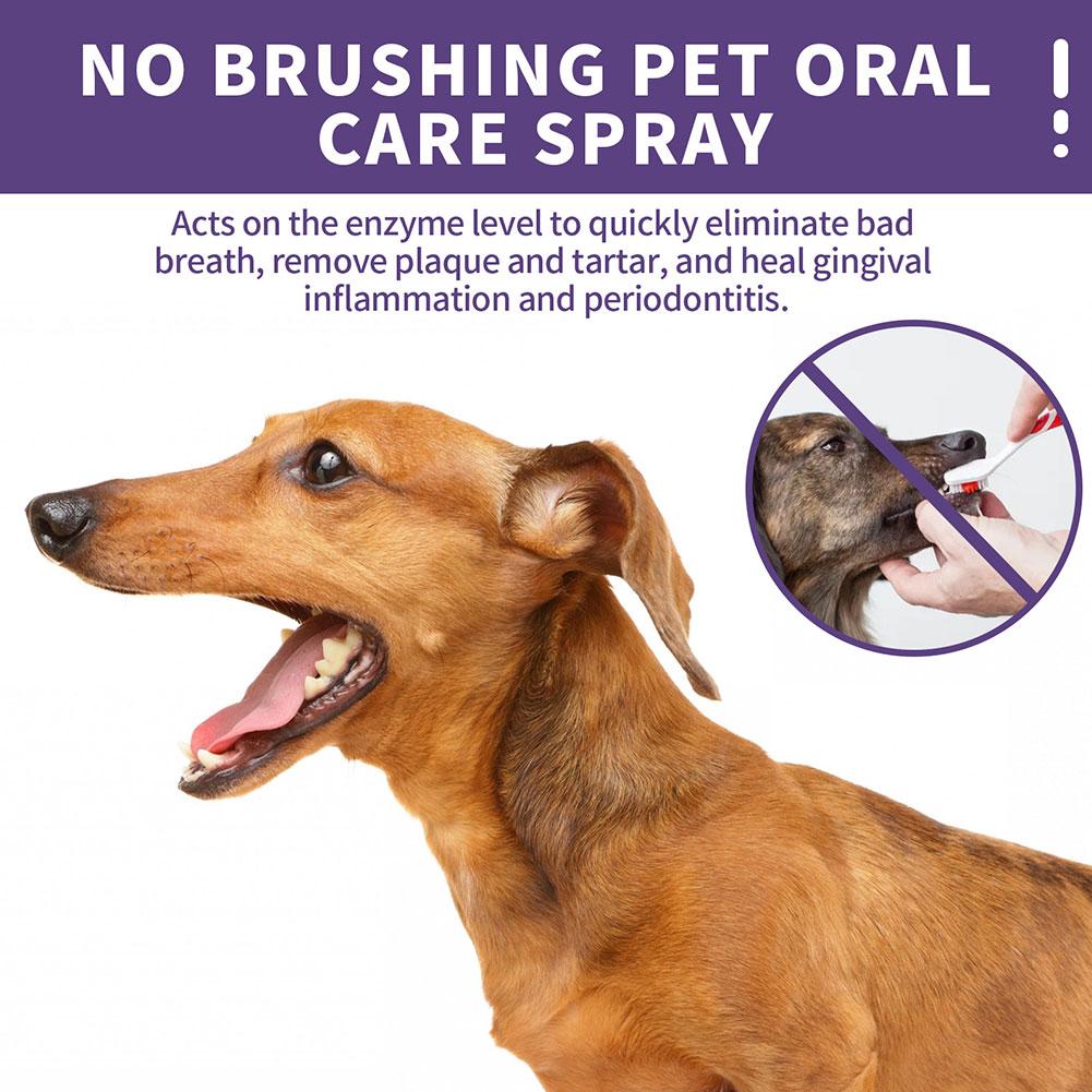 Spray de Limpeza Oral para Pet - Pet Supplies Nz avaliação e preço