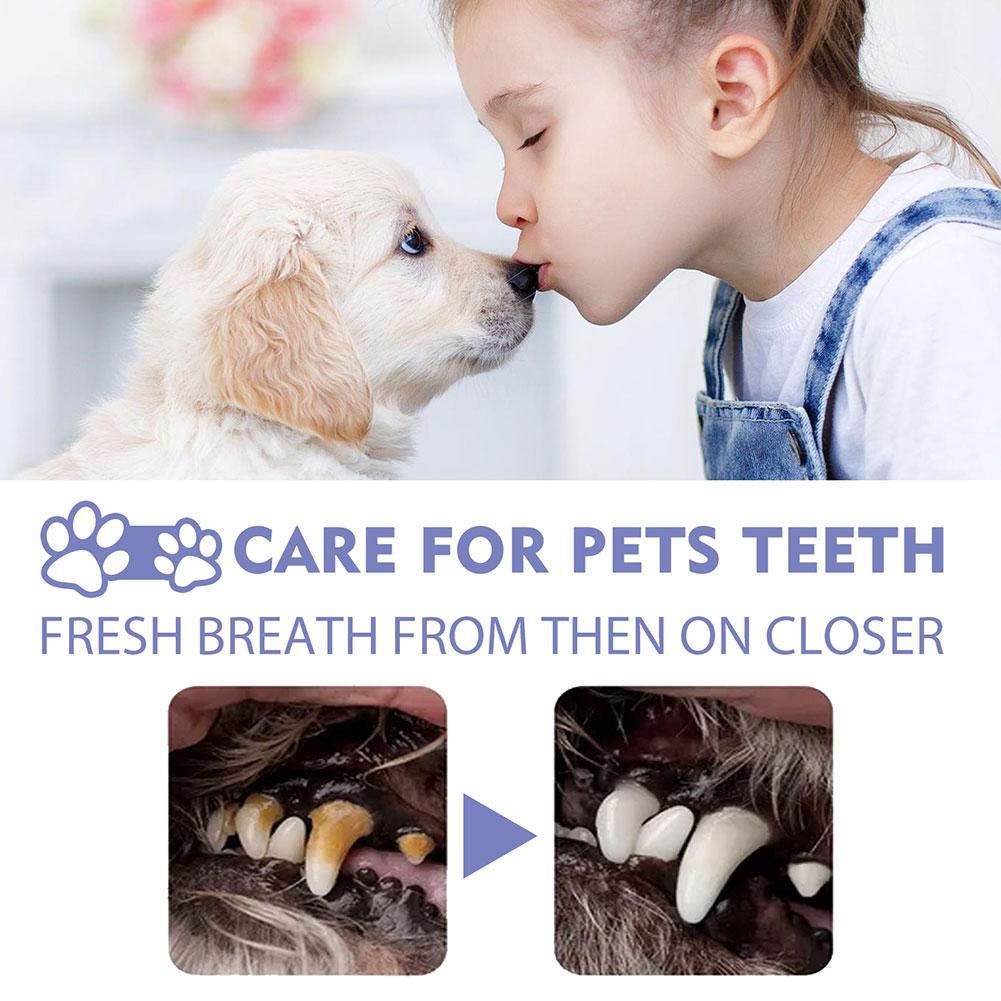 Spray de Limpeza Oral para Pet - Pet Supplies Nz avaliação e preço