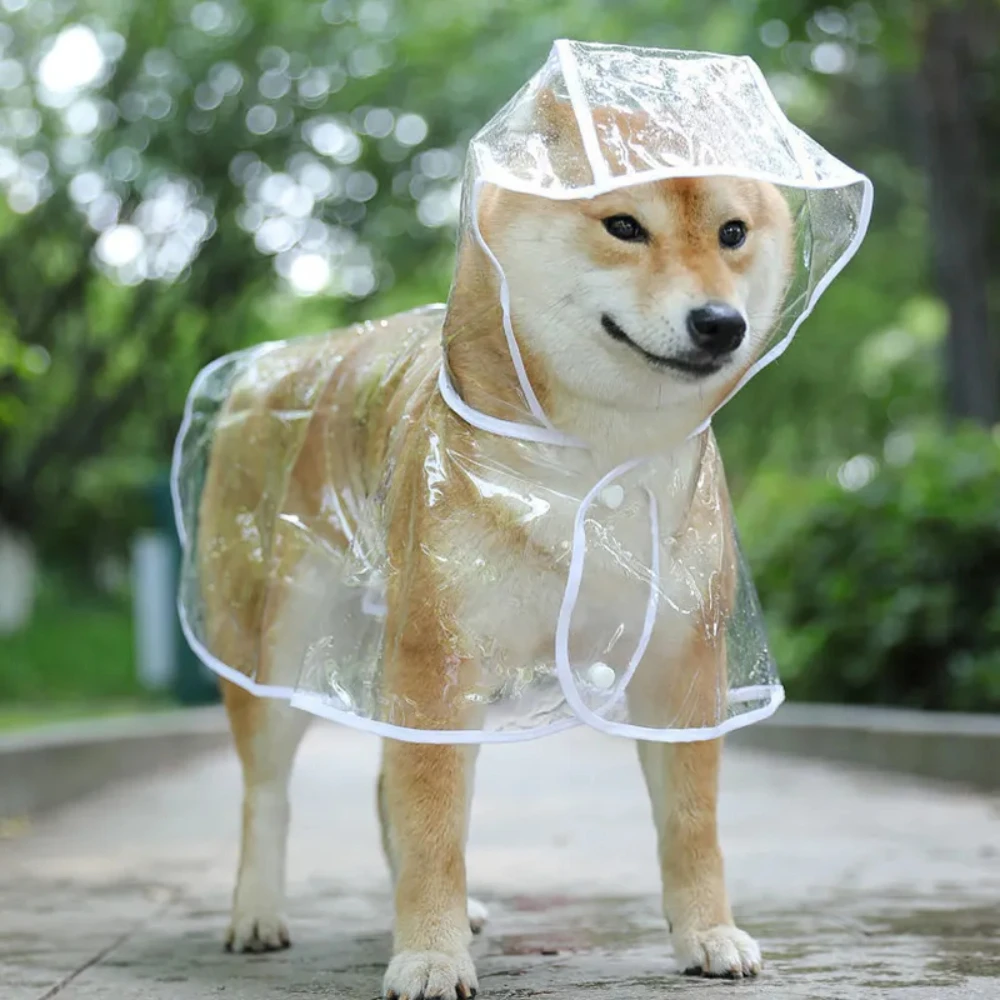 Capa de chuva transparente par - Dog Raincoat avaliação e preço