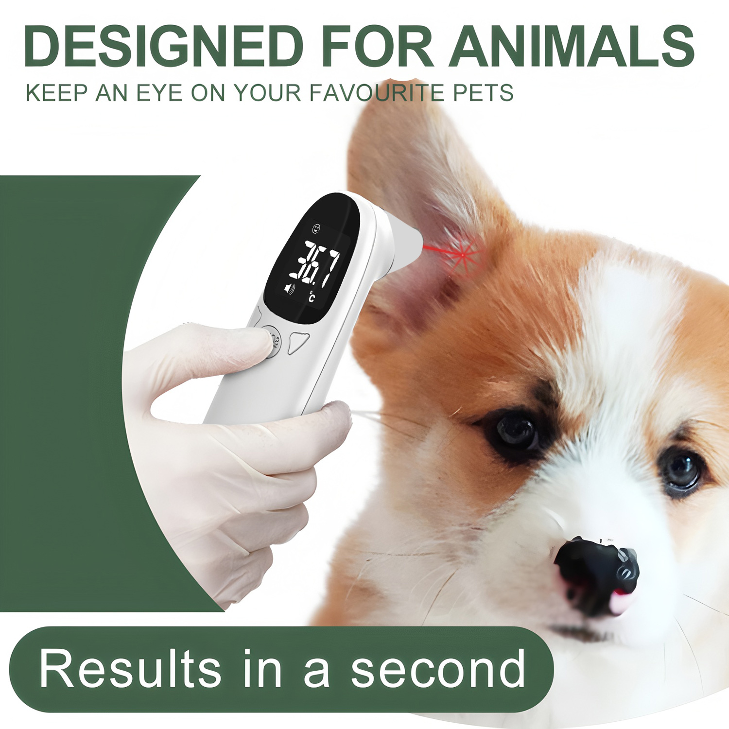 Termômetro Digital para Orelha - Pet Supplies Nz avaliação e preço