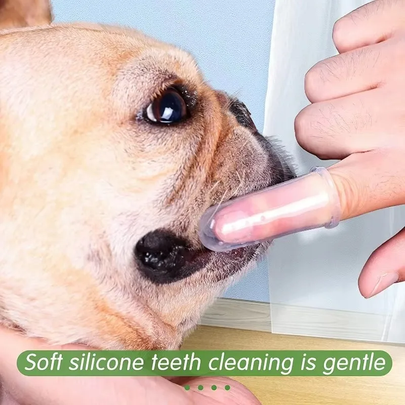 Escova de dentes super macia p - Pet Supplies Nz avaliação e preço