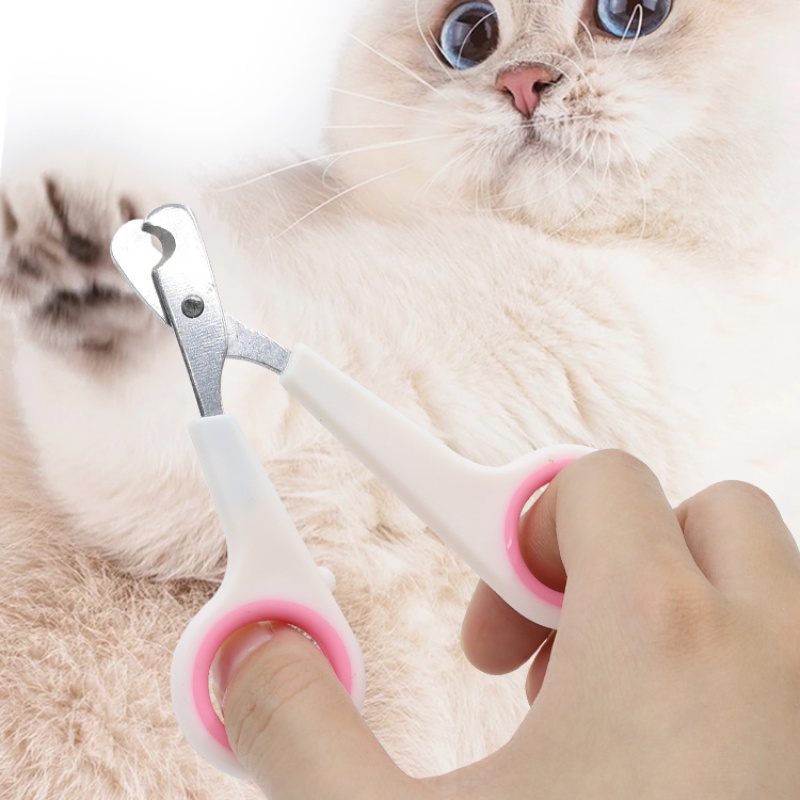 Cortador de Unhas para Cães e  - Pet Supplies Nz avaliação e preço
