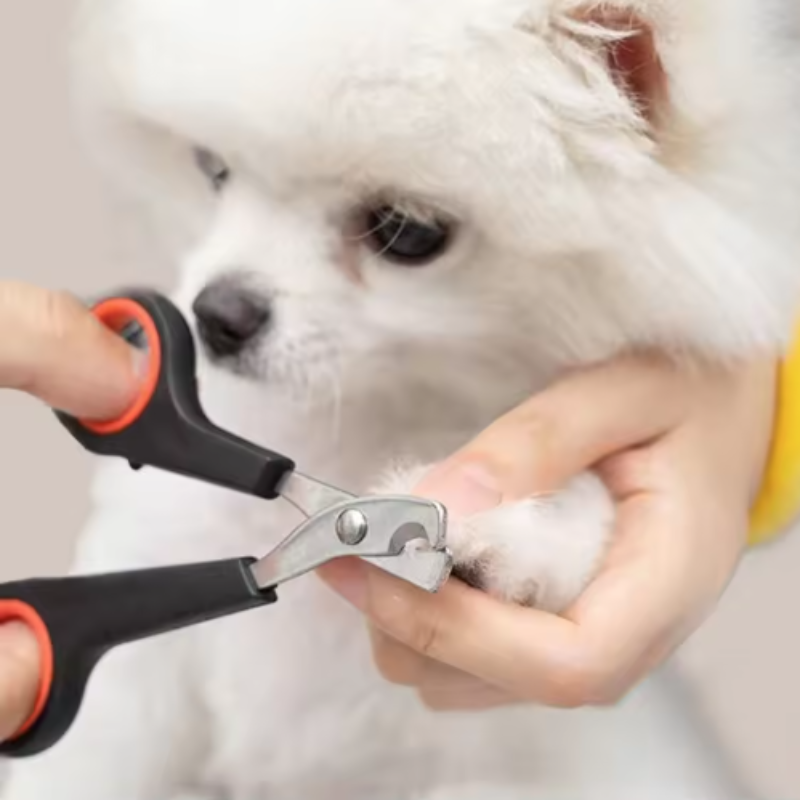 Cortador de Unhas para Cães e  - Pet Supplies Nz avaliação e preço