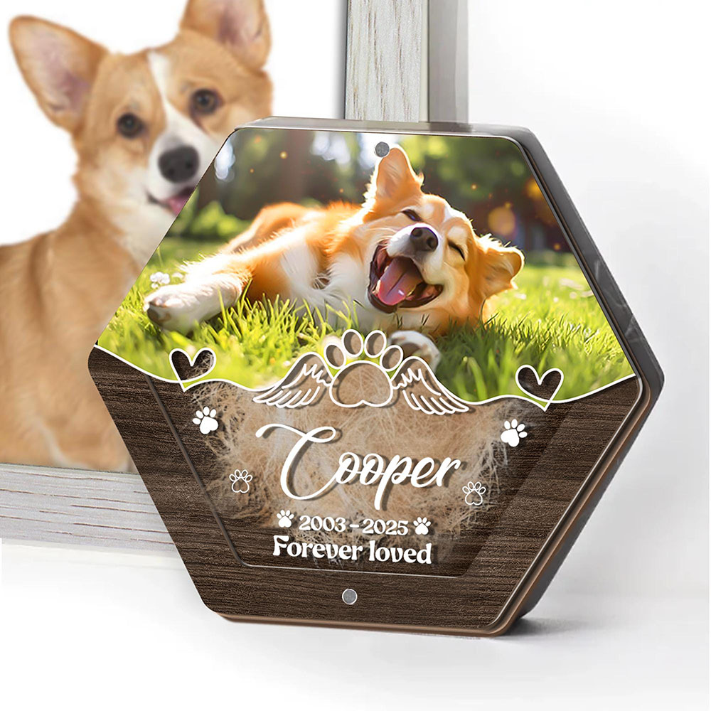 Nome personalizado escultura e - Pet Supplies Nz avaliação e preço