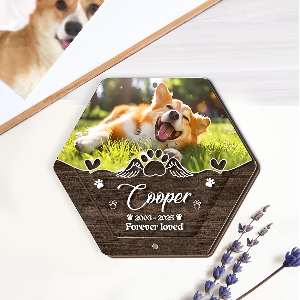 Nome personalizado escultura e - Pet Supplies Nz avaliação e preço