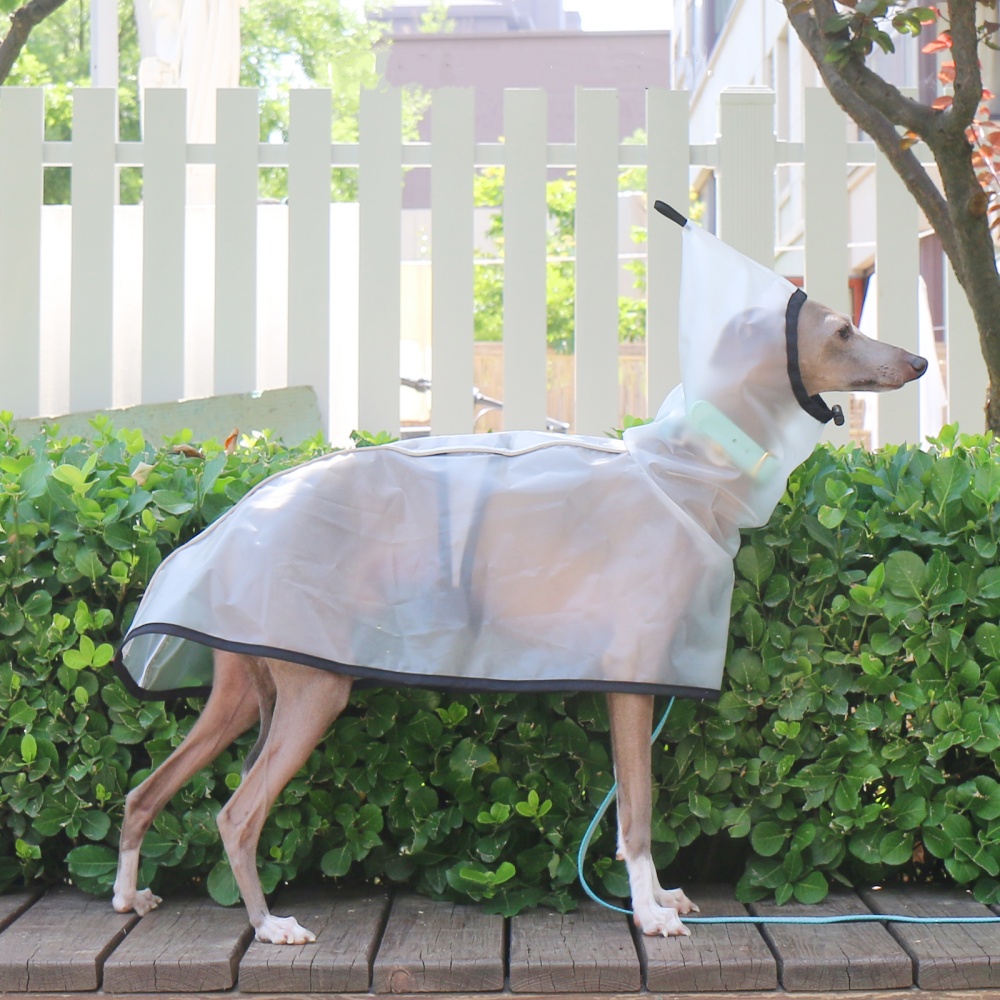 Capa fixa para abdômen, à prov - Dog Raincoat avaliação e preço
