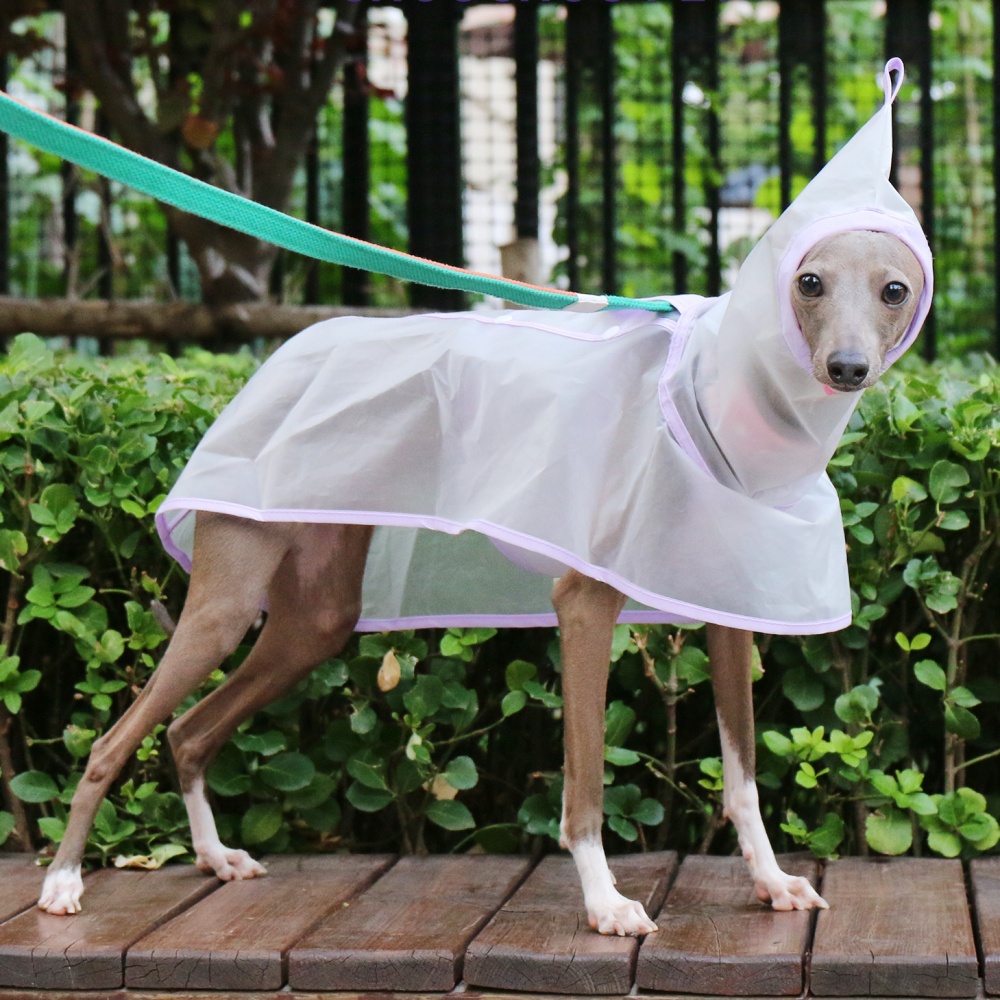 Capa fixa para abdômen, à prov - Dog Raincoat avaliação e preço