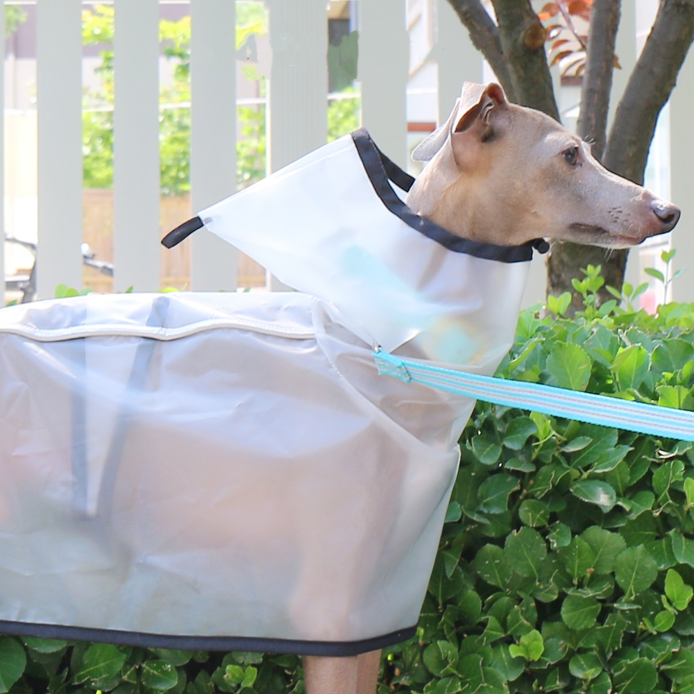Capa fixa para abdômen, à prov - Dog Raincoat avaliação e preço