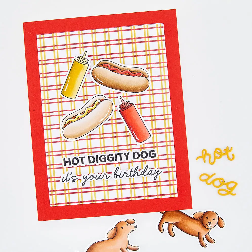 Hot Diggity Dog: Matrizes de C - Dog Raincoat avaliação e preço