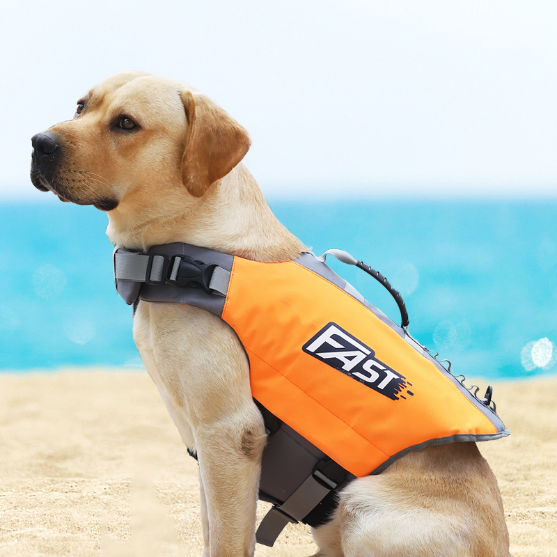 Colete Salva-Vidas para Cães:  - Dog Life Jacket avaliação e preço